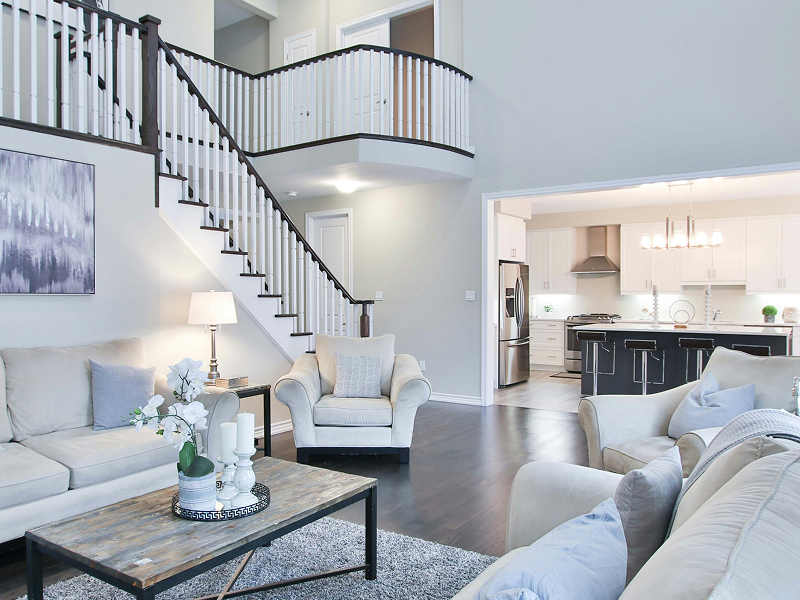 Premium Floor & Carpet Cleaners