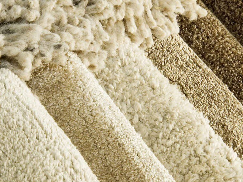 carpet-brands.500x500